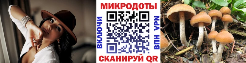 Галлюциногенные грибы MAGIC MUSHROOMS  Каменск-Уральский 